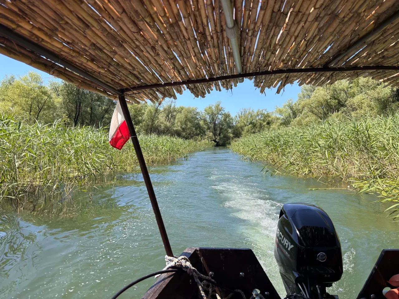 Reed channel of the Crnojevića River flowing towards Lake Skadar
