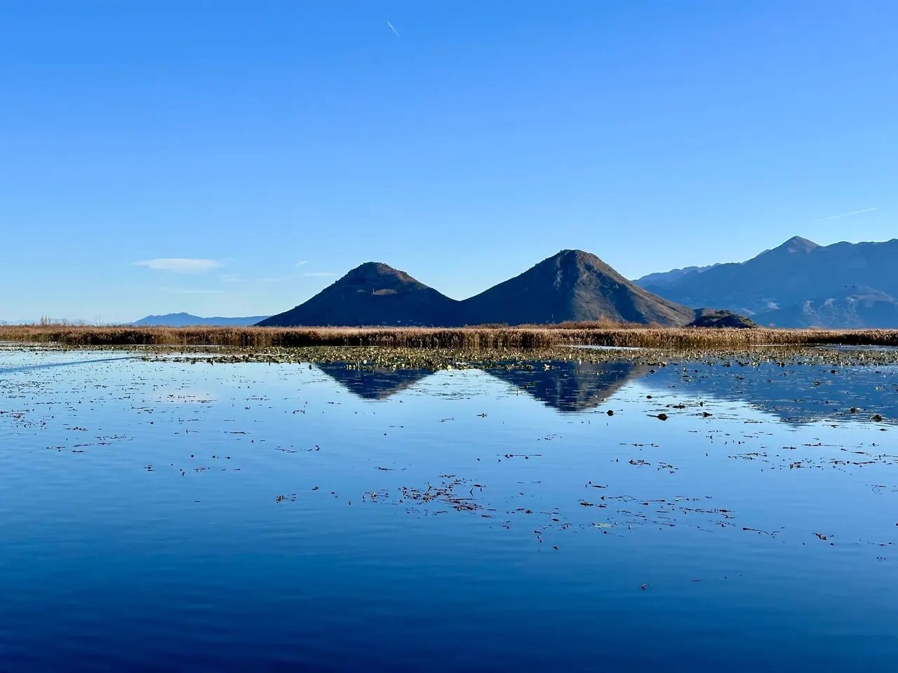 View across Lake Skadar from the shore near Virpazar