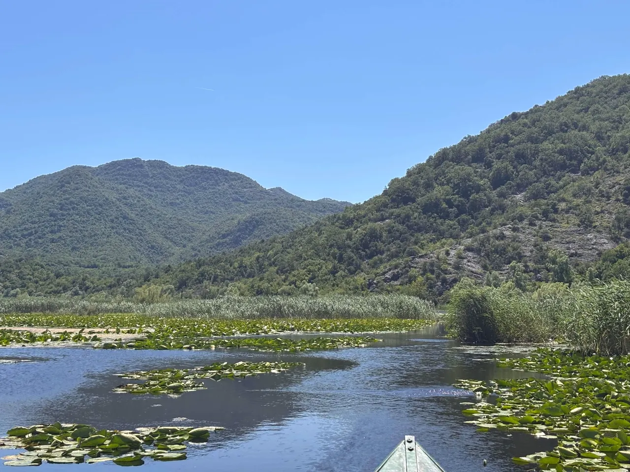 Water lilies and mountains on Lake Skadar